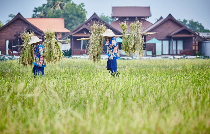 Farmers Villa, Mae Nam, Thailand