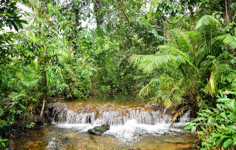 Kama Siri Koh Kood, Ko Kood, Thailand