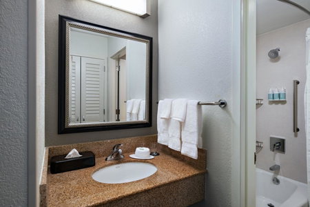 Courtyard by Marriott Dallas Arlington Entertainment District, Arlington, United States