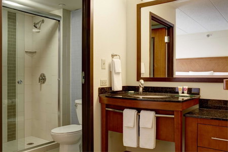 Hyatt Place Chantilly Dulles Airport South, Chantilly, United States