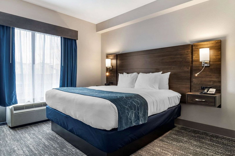 Comfort Suites McDonough Atlanta South, McDonough, United States