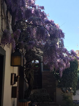 Inn of the Governors, Santa Fe, United States