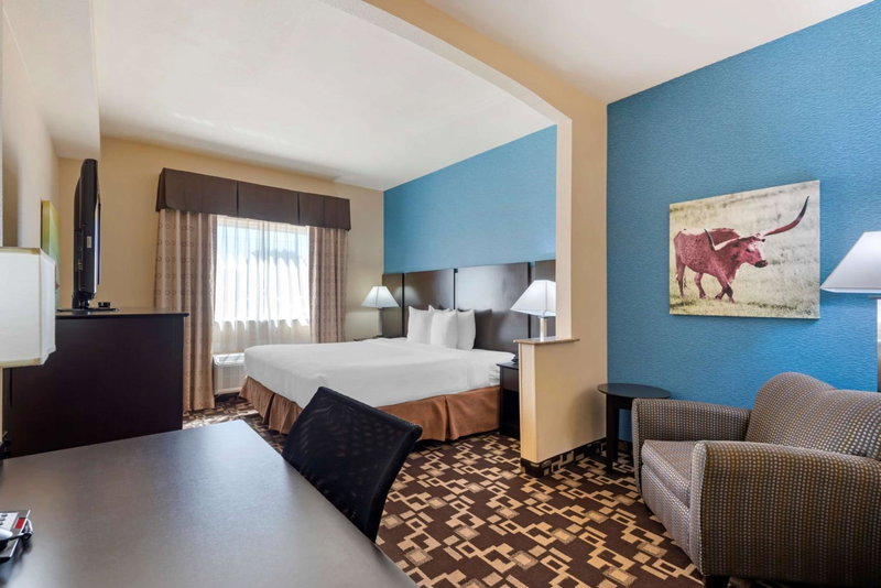 Best Western Plus Arlington North Hotel & Suites, Arlington, United States