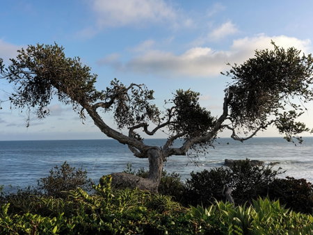 Casa Loma Beach Hotel (formerly The Inn at Laguna Beach), Laguna Beach, United States
