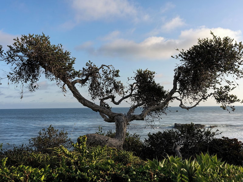 Casa Loma Beach Hotel (formerly The Inn at Laguna Beach), Laguna Beach, United States