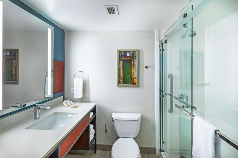 Hilton Garden Inn Houston/Sugar Land, Sugar Land, United States