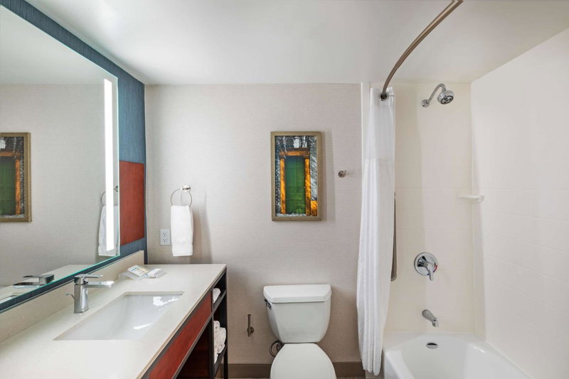 Hilton Garden Inn Houston/Sugar Land, Sugar Land, United States