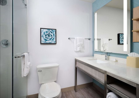 Hilton Garden Inn San Jose/Milpitas, Milpitas, United States