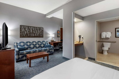 Comfort Suites near Birkdale Village- Huntersville, Huntersville, United States