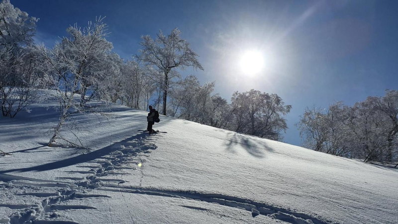 Seisenso, Nozawa Onsen, Japan