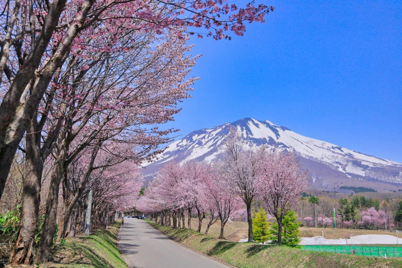 Guest House Chara, Hirosaki, Japan