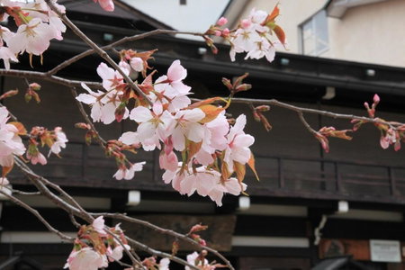 Hiratakan, Takayama, Japan