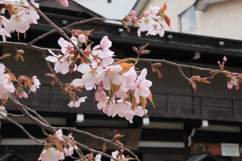 Hiratakan, Takayama, Japan