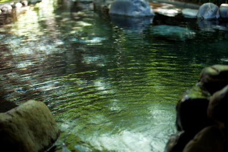 Ryotei Tanokura, Yufu, Japan