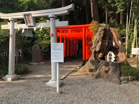 WILL GATE 旧Restay 水戸, Mito, Japan