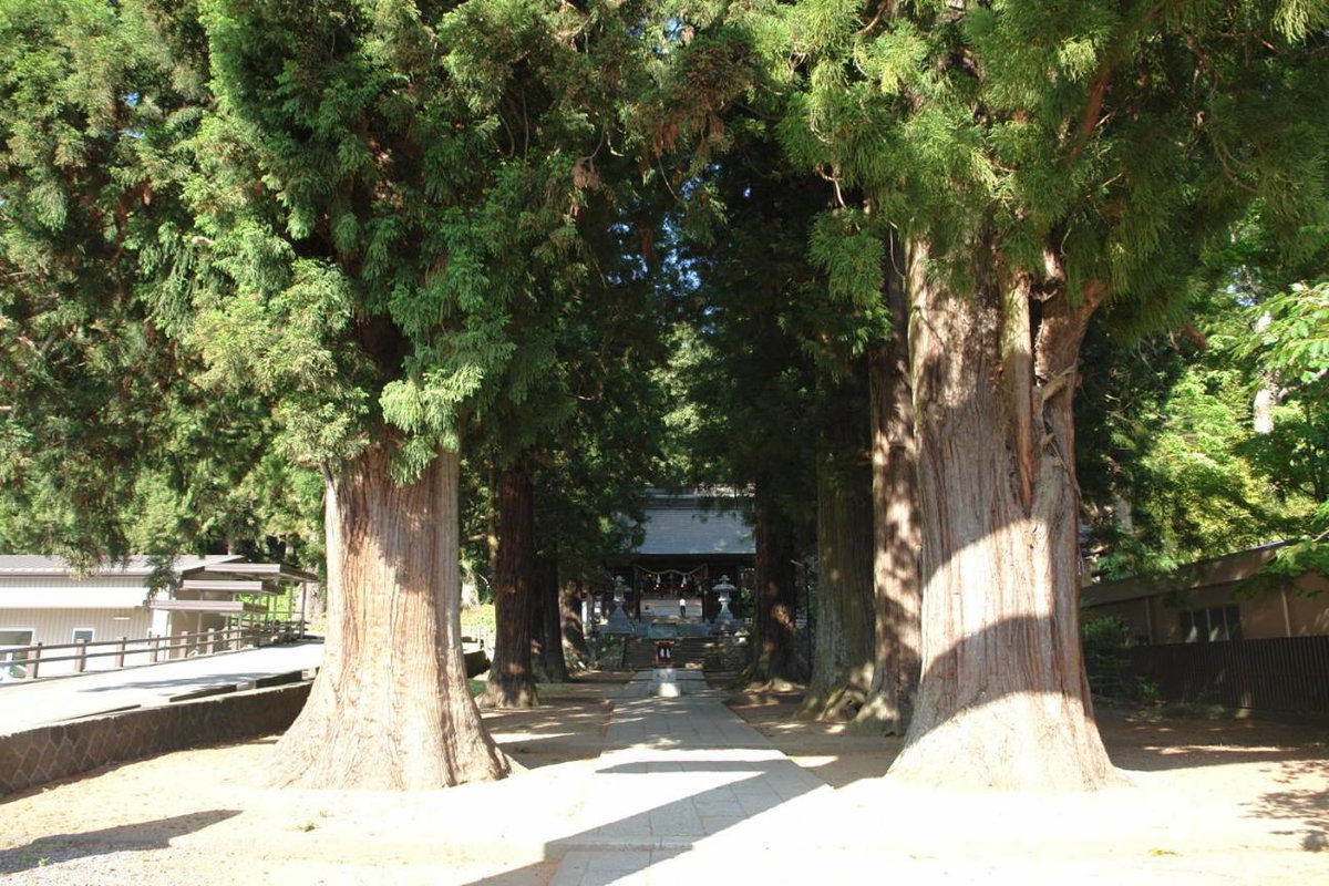 Koko, Japan
