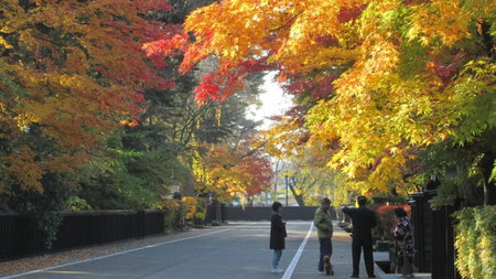 Kashintei Shirahama, Senboku, Japan