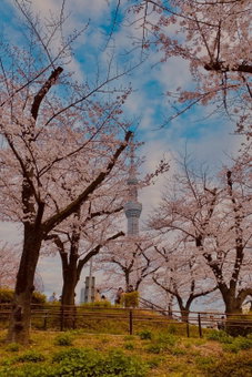 TOE LIBRARY Tokyo Asakusa, Tokyo, Japan