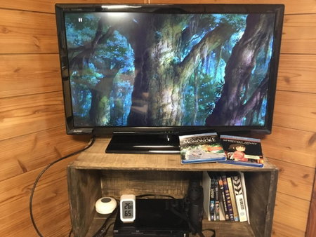 Hirauchi Hot Spot, Yakushima, Japan