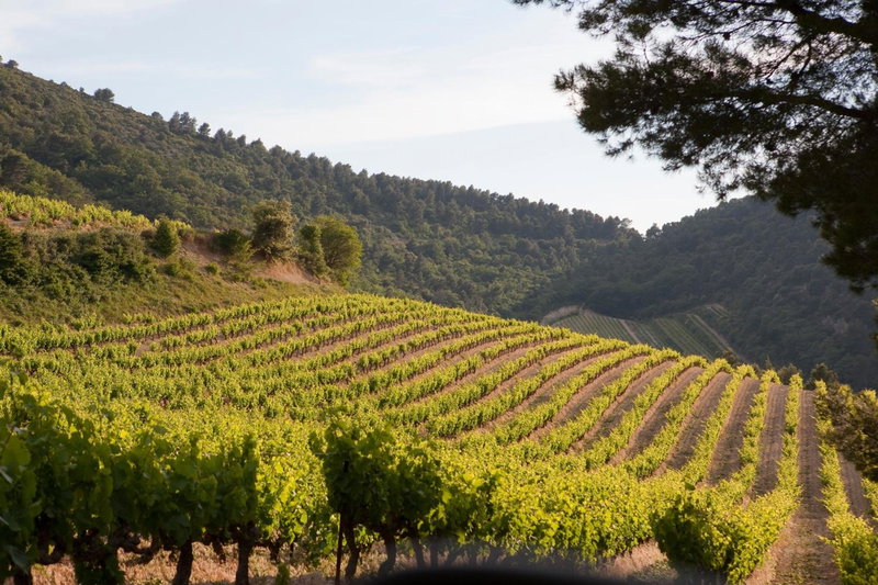 Les Florets, Gigondas, France