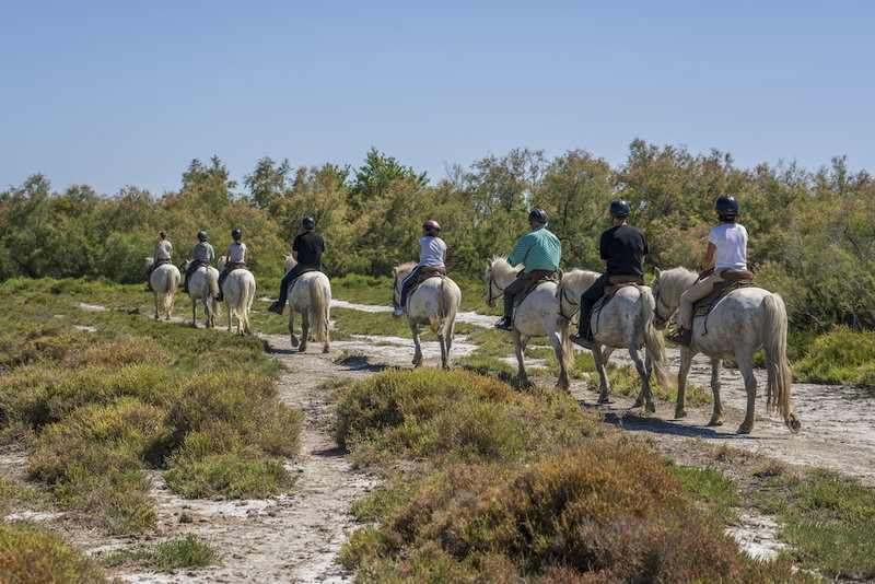 Le Mas de Calabrun, Saintes-Maries-de-la-Mer, France