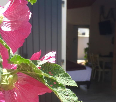 Hôtel Restaurant & Spa Plaisir, Le Bois-Plage-en-Ré, France
