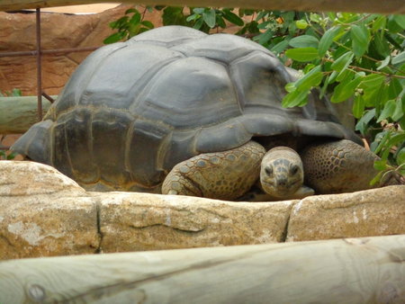 Hotel du Centre, Pierrelatte, France