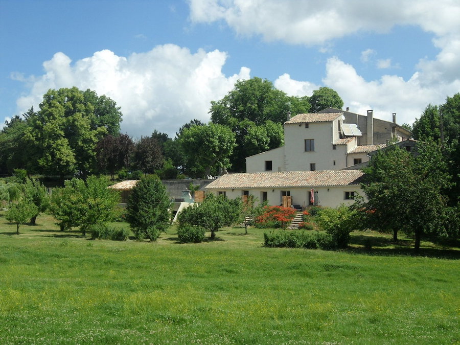 Les Ânes de Forcalquier, Forcalquier, France