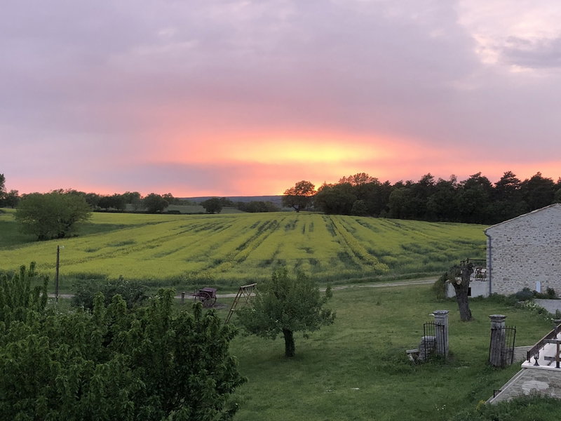 Les Ânes de Forcalquier, Forcalquier, France
