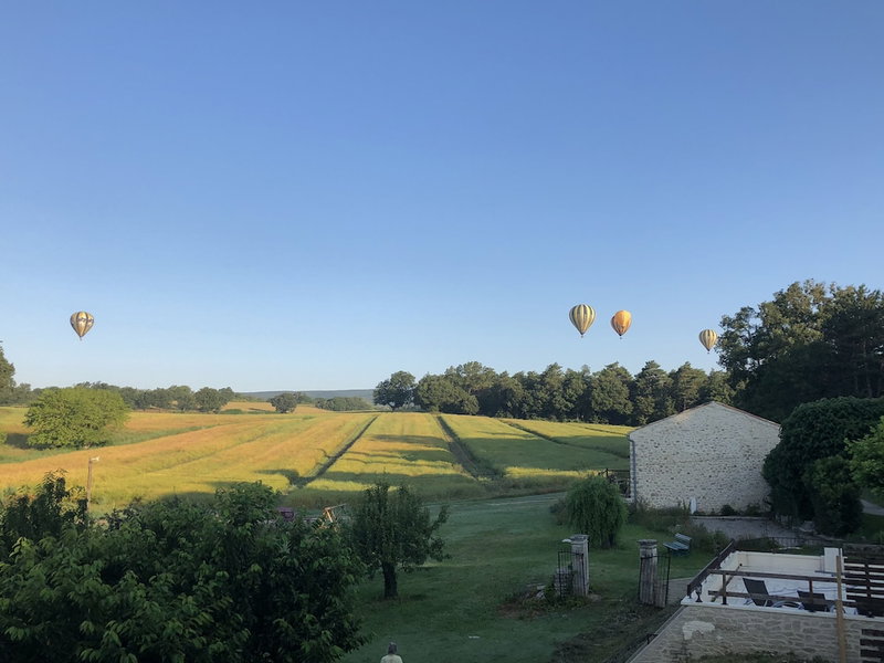 Les Ânes de Forcalquier, Forcalquier, France