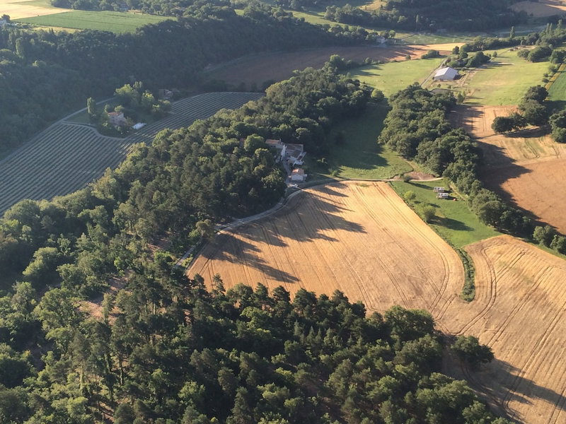 Les Ânes de Forcalquier, Forcalquier, France
