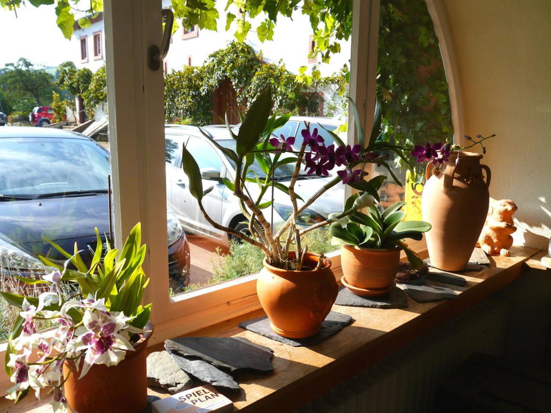 Hotel und Weingut Karlsmühle, Mertesdorf, Germany