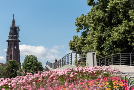 Boutique Apartments am Stadtgarten, Freiburg im Breisgau, Germany