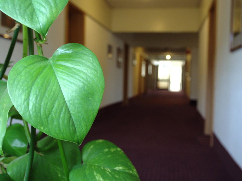 Hotel Im Park, Bad Iburg, Germany