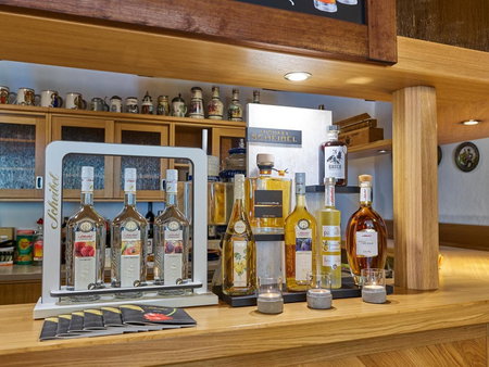 Hotel Elbparadies, Pirna, Germany