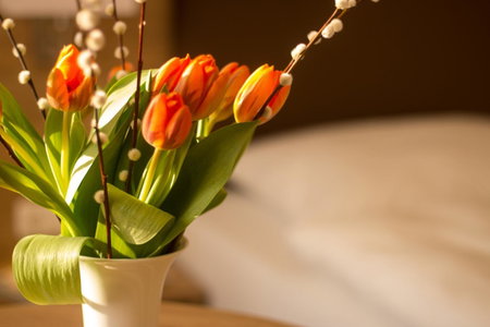 Hotel Heldt, Bad Pyrmont, Germany