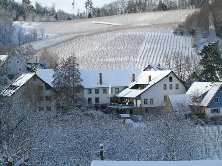 Hotel Faxe Schwarzwälder Hof, Kappelrodeck, Germany