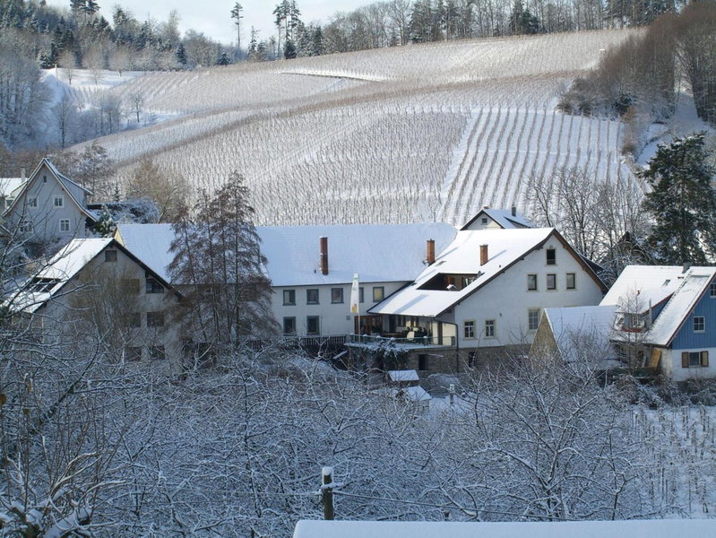 Hotel Faxe Schwarzwälder Hof, Kappelrodeck, Germany