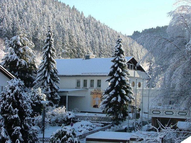 Altes Doktorhaus - Hotel Garni, Willingen, Germany