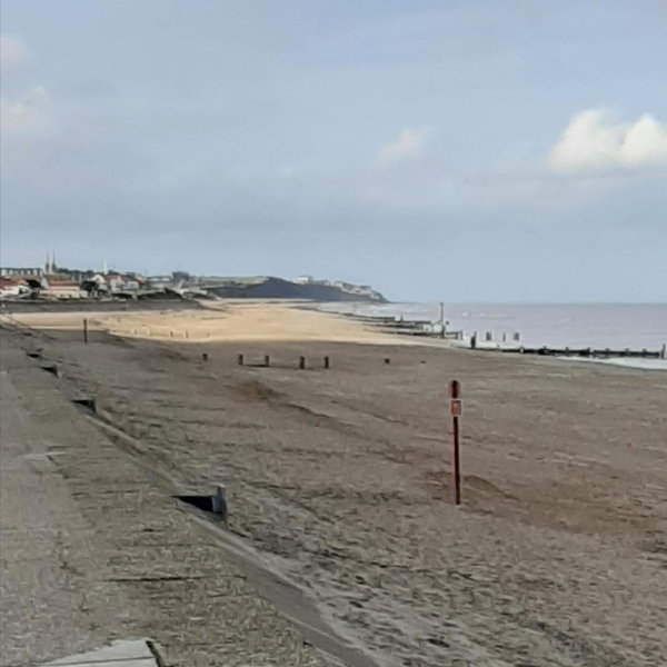 Seals Bacton, Bacton, United Kingdom