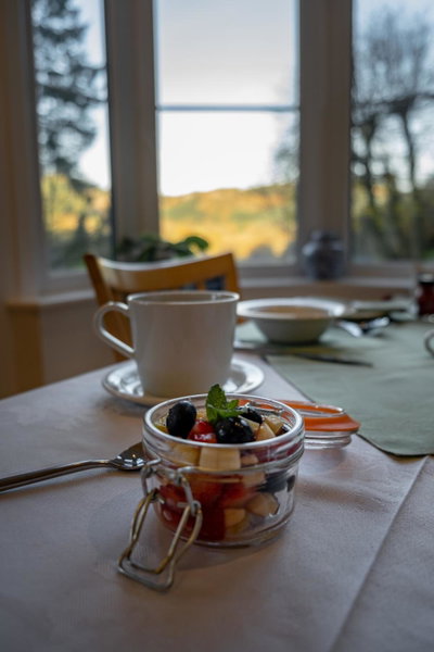 Glyntwrog House, Betws-y-coed, United Kingdom