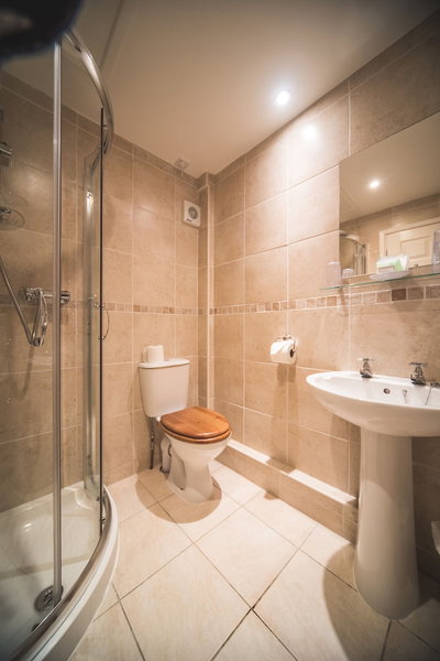 Llwyngwair Manor, Newport, United Kingdom