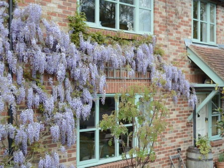 5 Charlton Mill Way B&B, Chichester, United Kingdom