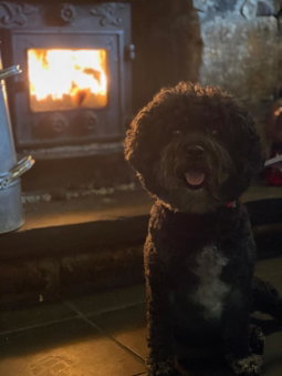 Garddfon Inn, Y Felinheli, United Kingdom