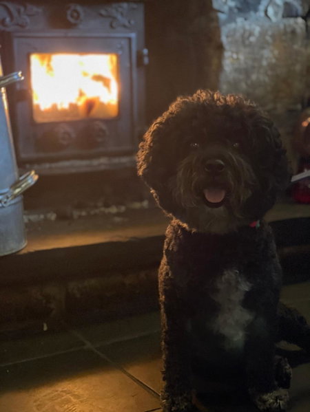 Garddfon Inn, Y Felinheli, United Kingdom