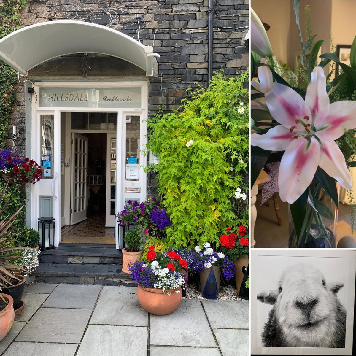 Hotel · Hillsdale B&B in Ambleside, Ambleside