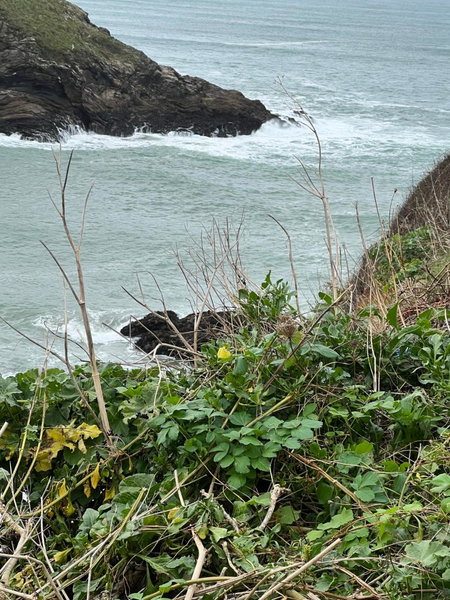 The Chapel Guest House, St Austell, United Kingdom