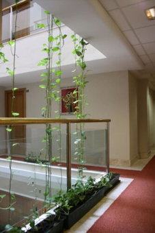 Hotel Torremar – Mares, Velez-Malaga, Spain