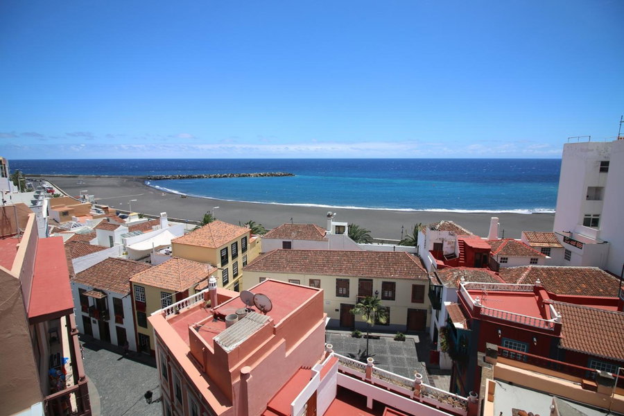 Banana Garden La Palma, Santa Cruz de la Palma, Spain