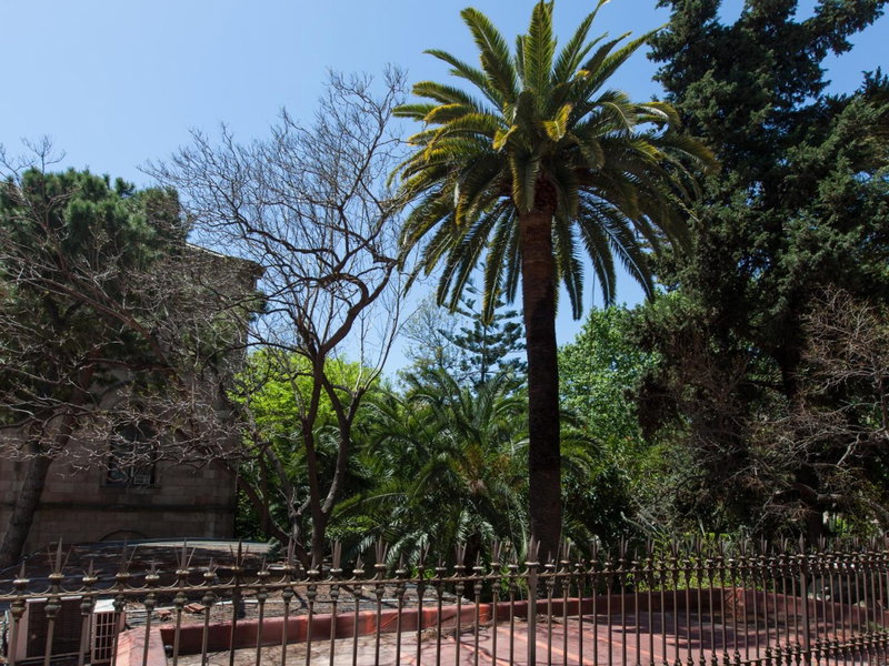 Ecozentric, Barcelona, Spain